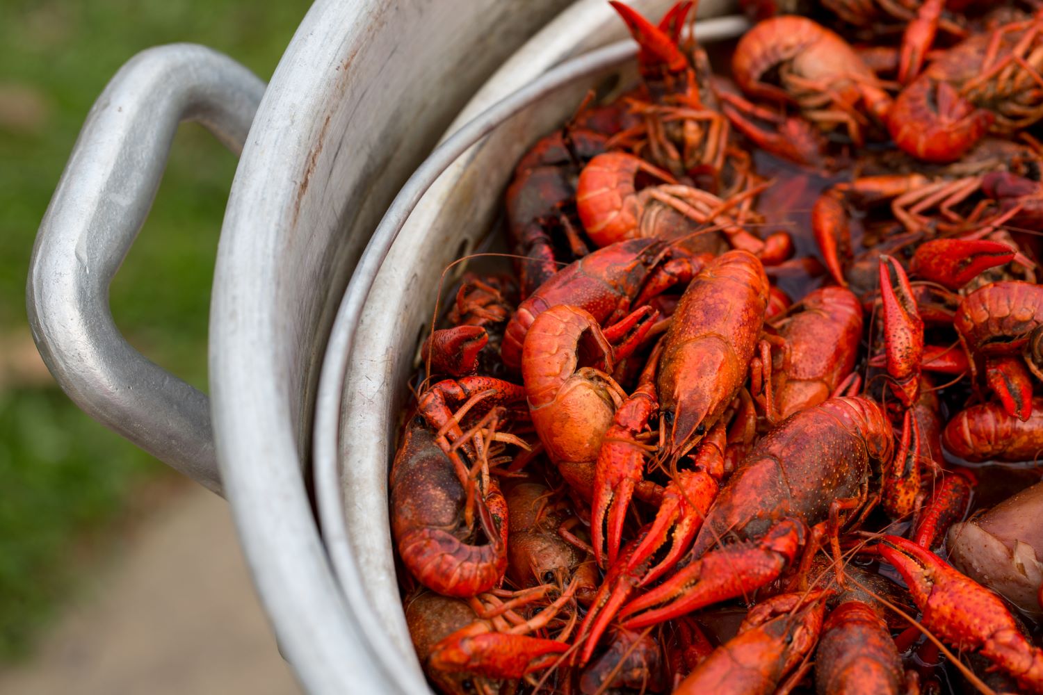 Crawfish Boil